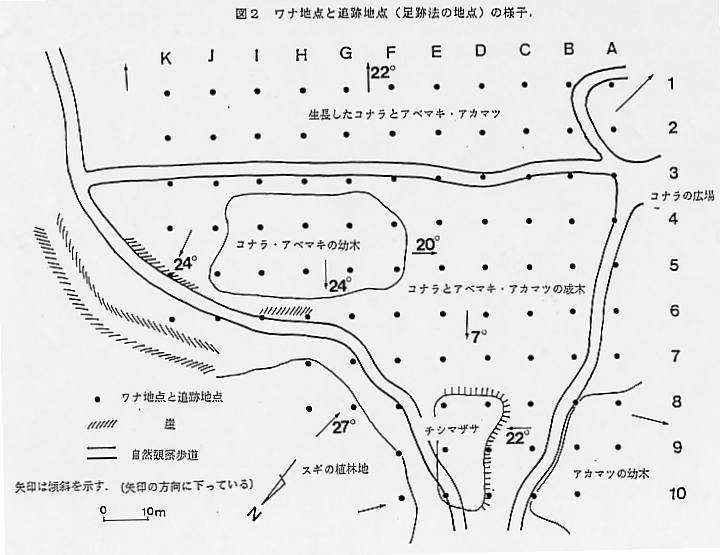 論文図表