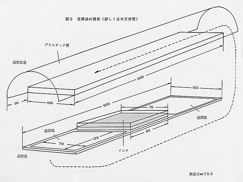 論文図表