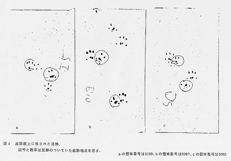 論文図表