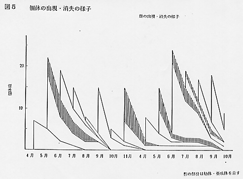 論文図表