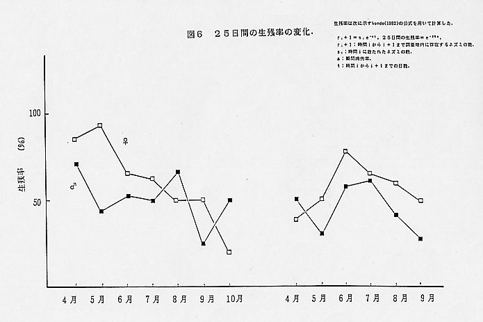 論文図表
