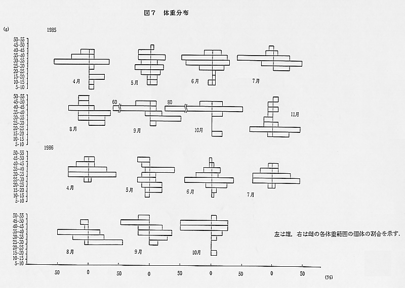 論文図表