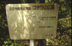 論文図表