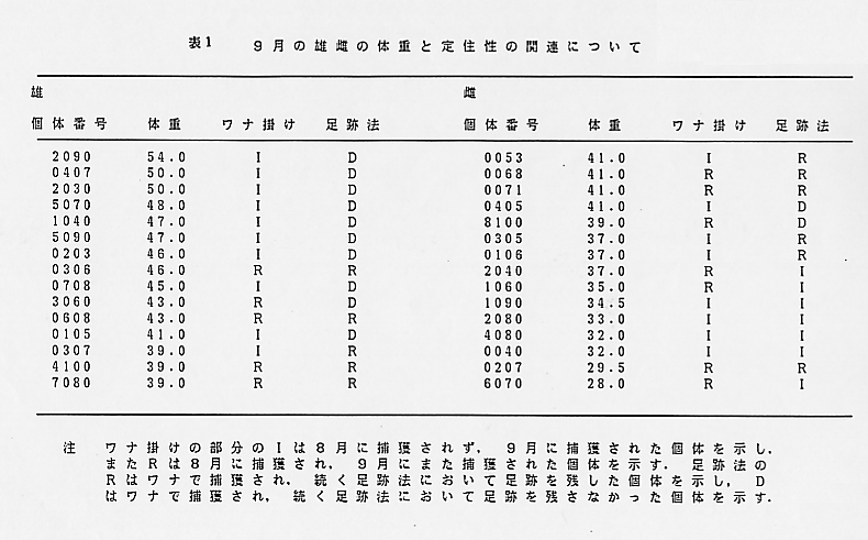 論文図表