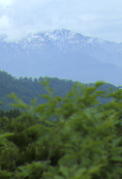 加越国境から見た白山