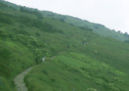 西遊歩道コース写真