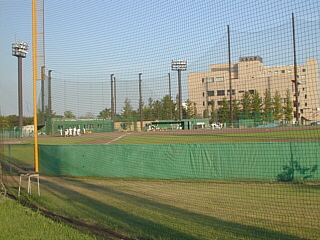上 武 大学 野球 部