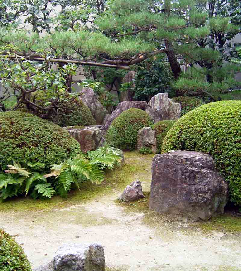 tamura