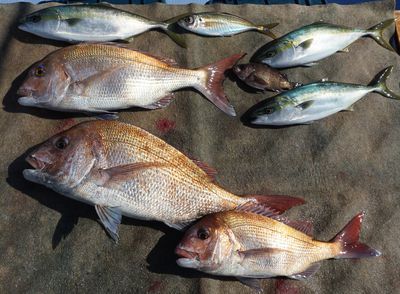 މ2003