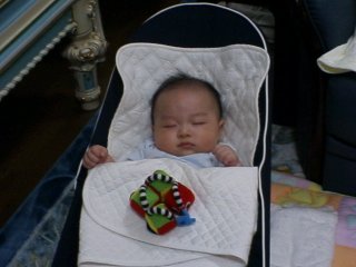 �K���K��NO2