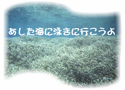 Let's go for a swim in the sea tomorrow