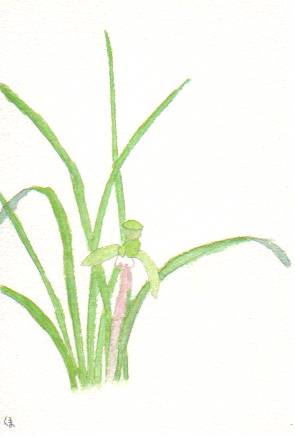 �V���������̗ΐF�̉Ԃ̊G