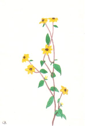 ���F�����h�x�L�A�̊G