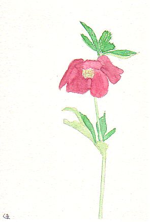 �N���X�}�X���[�Y�̐Ԃ��Ԃ̊G