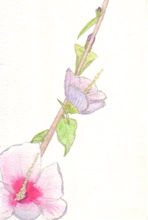 ���N�Q�̉Ԃ̊G