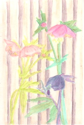 �N���X�}�X���[�Y�̉Ԃ̊G