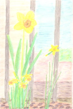 �X�C�Z���̉Ԃ̊G