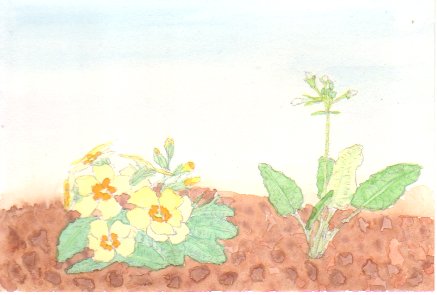 �v�������̉Ԃ̊G