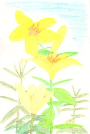 �����̉Ԃ̊G