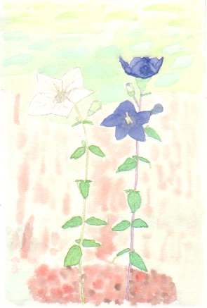 �L�L���E�̉Ԃ̊G