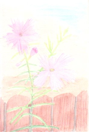 �J�����i�f�V�R�̉Ԃ̊G