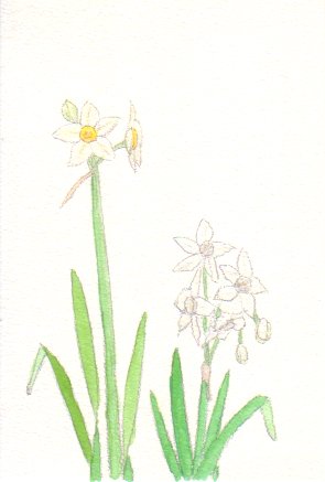 �X�C�Z���̉Ԃ̊G