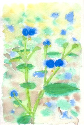 �c���N�T�̉Ԃ̊G