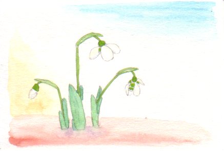 �X�m�[�h���b�v�̉Ԃ̊G