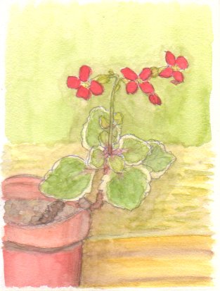 �J�����R�G�̐Ԃ��Ԃ̊G