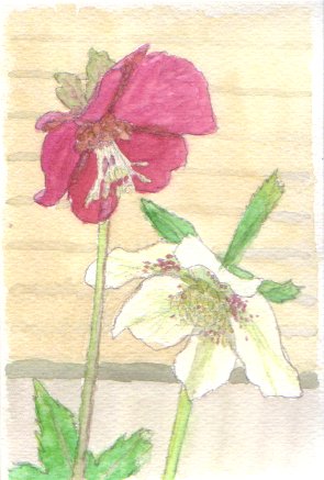 �N���X�}�X���[�Y�̐Ԃ��ԂƔ����Ԃ̊G