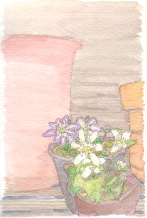 �䂫��肻���̔����ԂƎ��F���֖͗l�̉Ԃ̊G