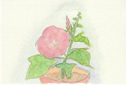 �A�T�K�I�̃s���N�F�̉Ԃ̊G