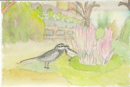 nNZLCƃR`J̉Ԃ̌iF̊G