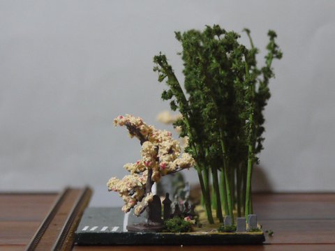 �u���W�I���}���E���ʂ��猩���摜