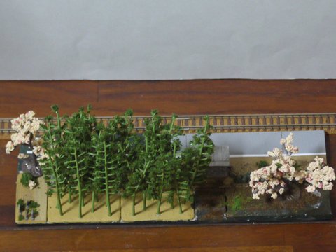 �u���W�I���}����΂ߏォ�猩���摜