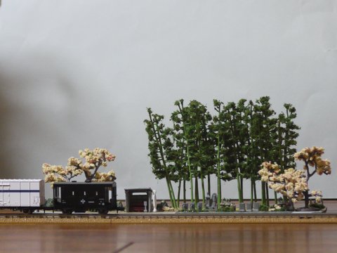 �u���W�I���}�ƃ�6000�`�ԏ��ԁA����5000�`�ݎԂ̉摜