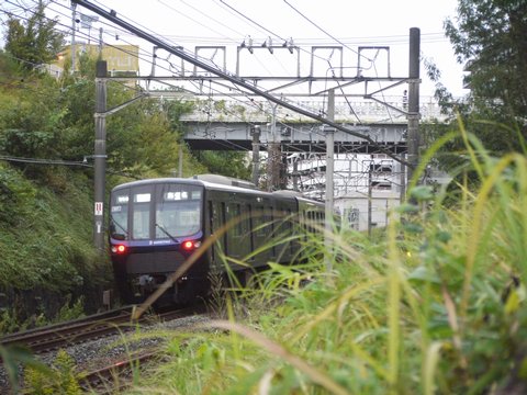 i{[CAEg̋̃`[tƂỉ摜