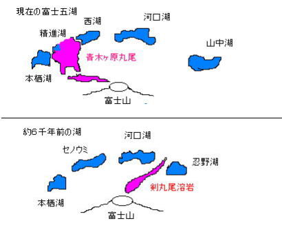 富士五湖の変化を示す図