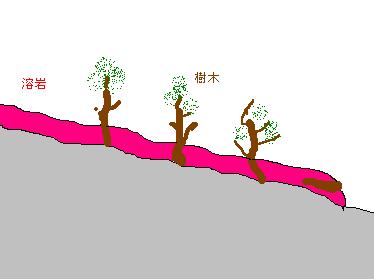 溶岩樹形の説明図