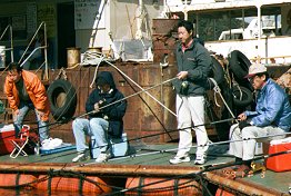 �A���t�@�[����ƃN���u�̊F�l