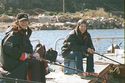 ��������Ƃ��F�B