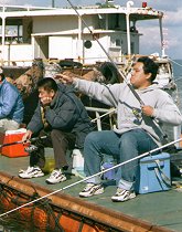 �L�}�C������Ƃa���a����