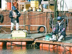 ���J����e�q