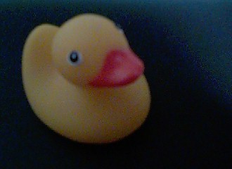 Duckie #1