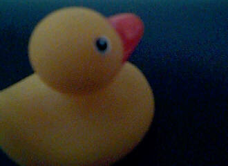 Duckie #2
