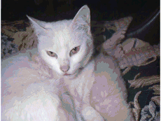 �����[�ł��B�����ł���H