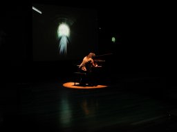 �������n�̗l�q