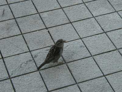 �X�Y������