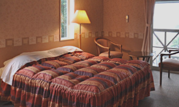 ���كz�e���̃x�b�h�J�o�[�z�c�̔[������4