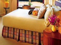 �X�J�[�g(�{�g���J�o�[)